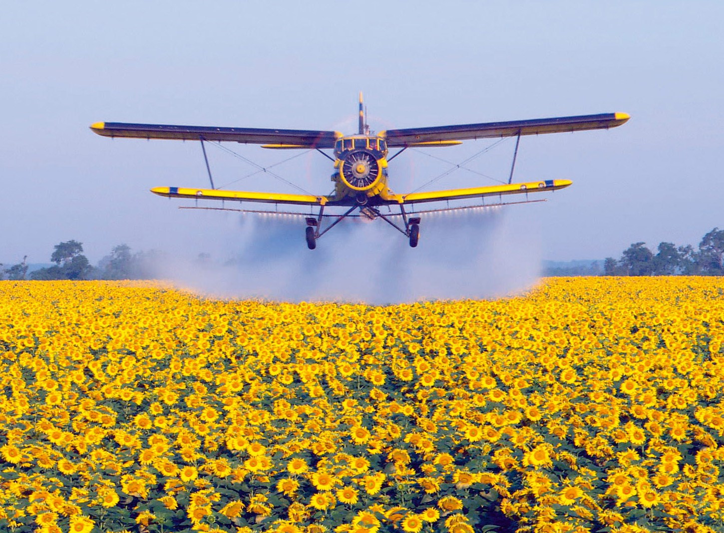 Состояние и перспективы рынка сельскохозяйственной авиации в Украине 
